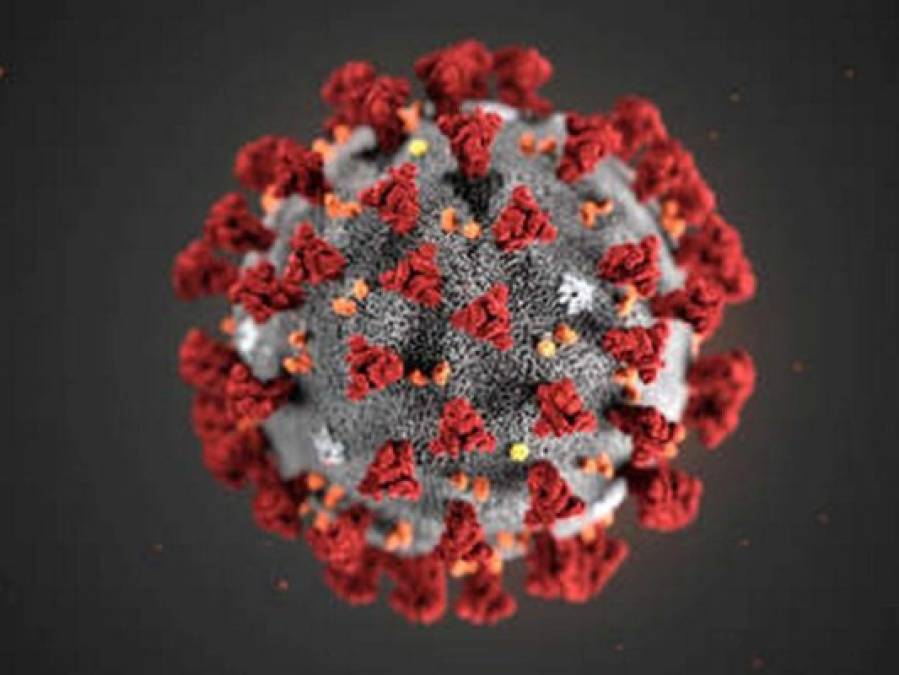 10 noticias alentadoras en la lucha contra epidemia de coronavirus