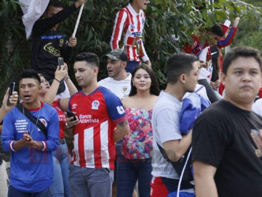 FOTOS: La Ultra Fiel pinta de tricolor las calles sampedranas en apoyo al León