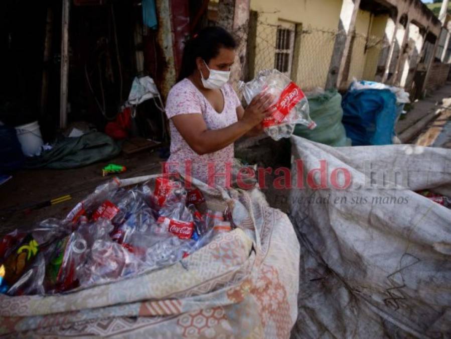Sin hogar, sin empleo y sin ayuda: una familia que sufre la crisis de Eta y Iota (FOTOS)