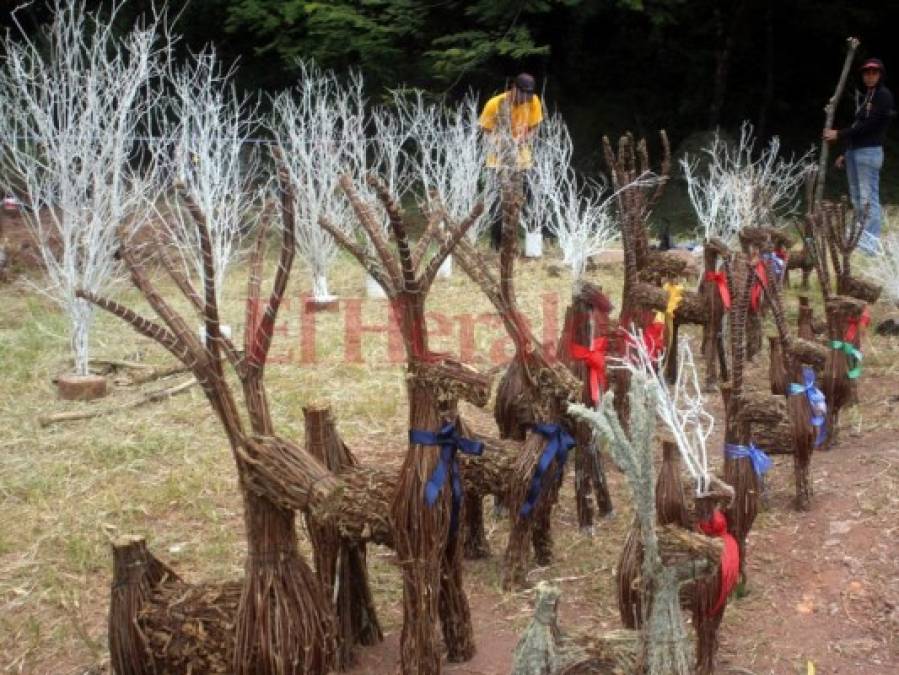 Fotos: El maravilloso encanto de la Navidad plasmado en tradicional y mágica decoración 