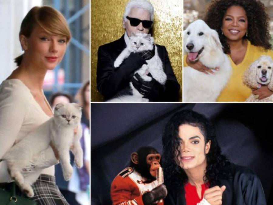 FOTOS: Mascotas herederas de la fortuna de estos famosos y millonarios