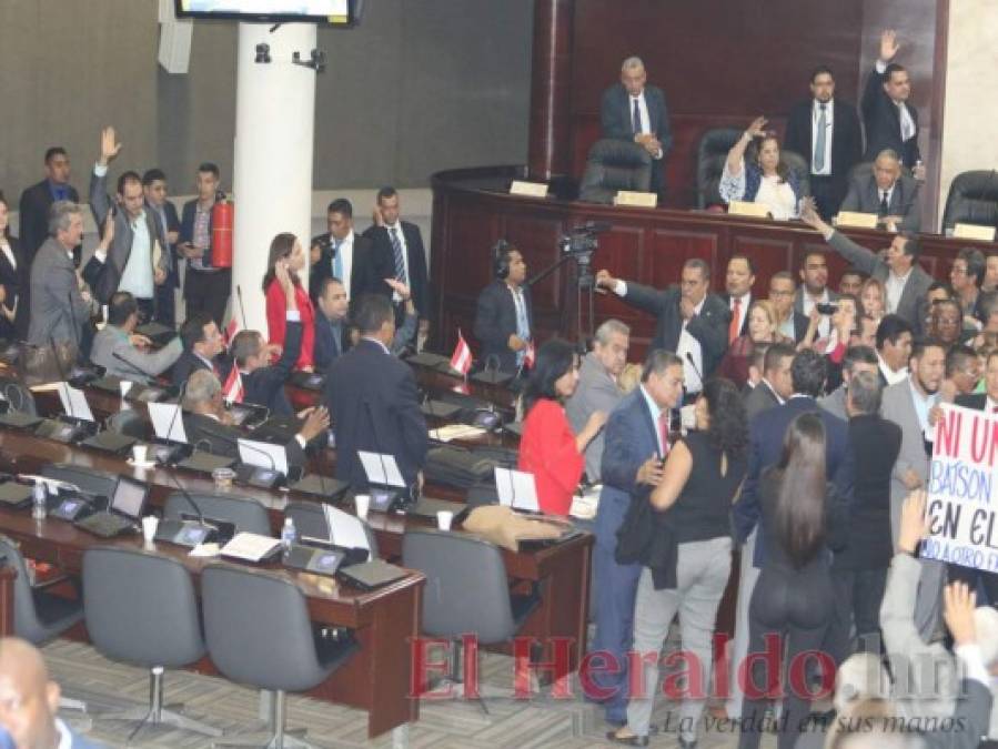 Así fue el zafarrancho de Libre en el Congreso Nacional por propuesta que pide continuidad de Batson en el TSE