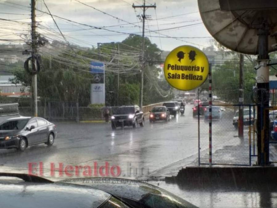 FOTOS: Fuertes lluvias alegran a capitalinos ante prologanda sequía