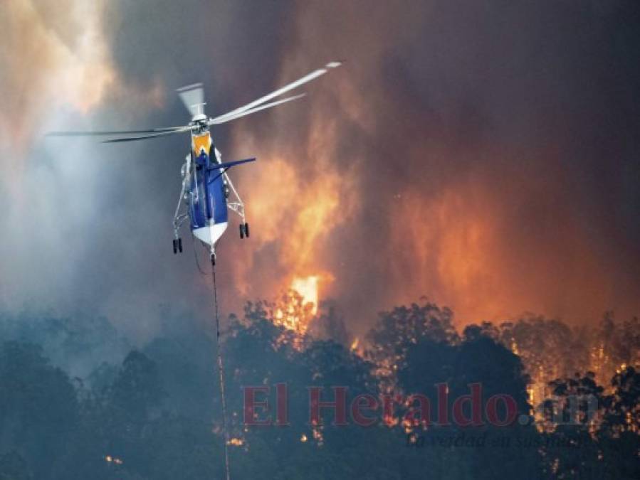 FOTOS: Personas bloqueadas en playas de Australia por incendios; van ocho muertos  