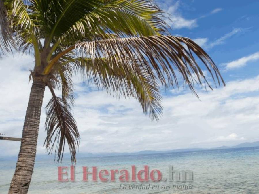 Cayos Cochinos, el tesoro marino de la costa atlántica de Honduras