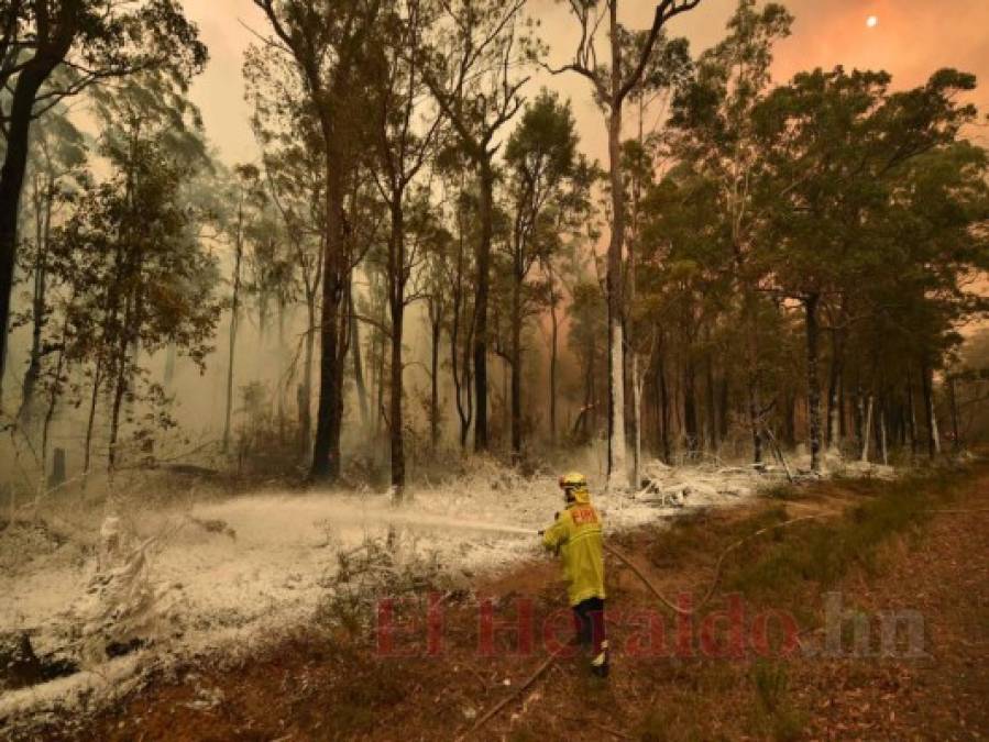 FOTOS: Personas bloqueadas en playas de Australia por incendios; van ocho muertos  