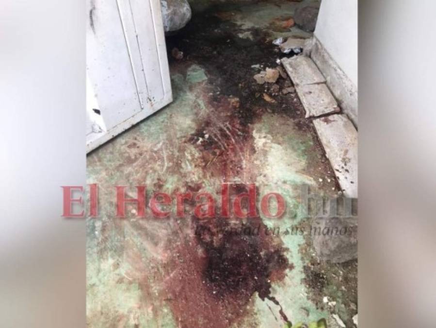 Exclusiva: Así quedó la casa del italiano Giorgio Scanu, asesinado por una turba en Yusguare