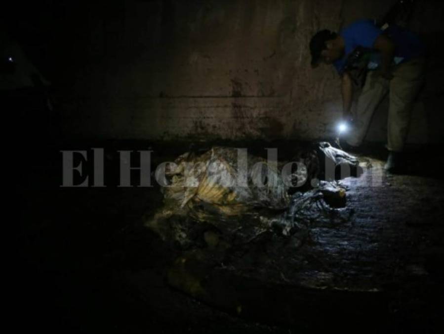 FOTOS: Así era el matadero clandestino de caballos en la colonia Nueva Suyapa
