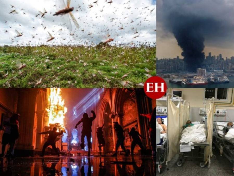 Plagas, convulsión y catástrofes: Las imágenes de los hechos que marcaron el 2020