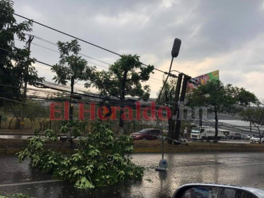 FOTOS: Postes caídos, mercados y calles inundadas, así permanecía la capital durante intensa lluvia