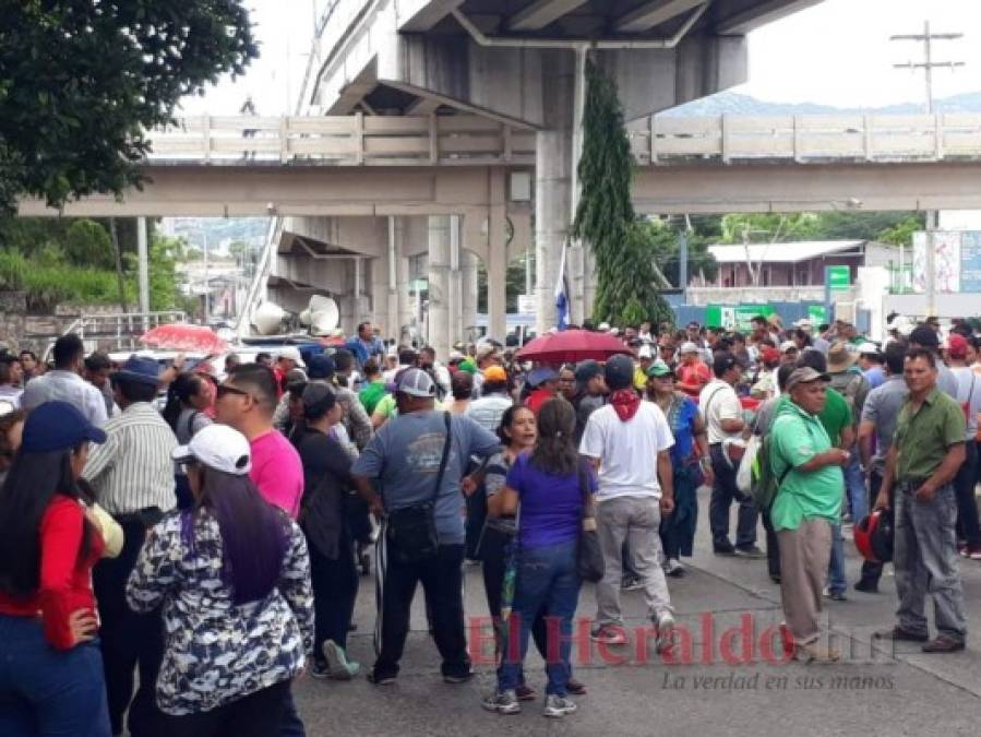 Las fotos de la masiva protesta registrada este martes en la capital de Honduras