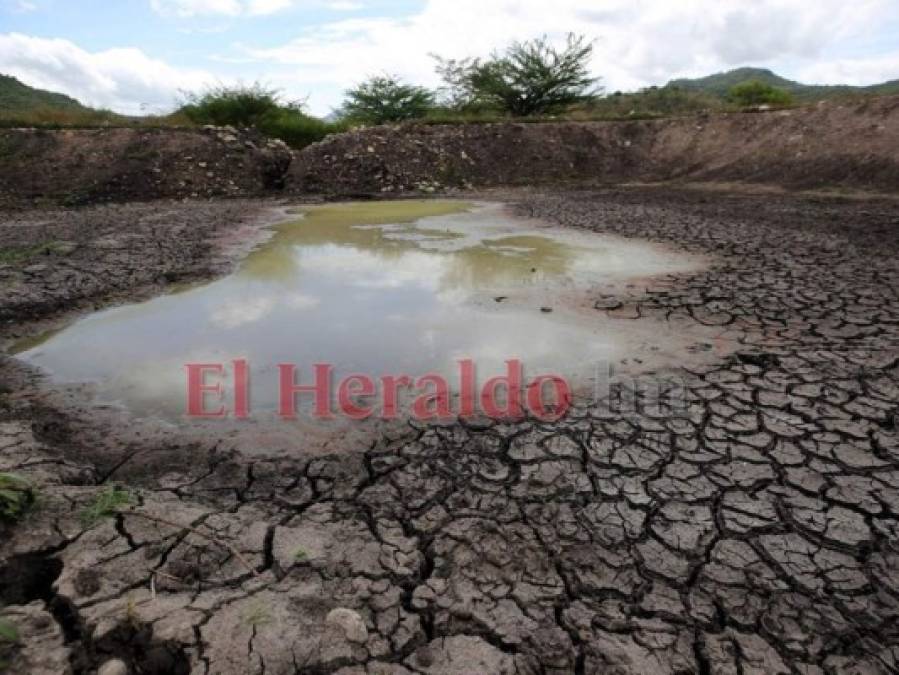 10 datos sobre la emergencia por sequía que enfrenta Honduras