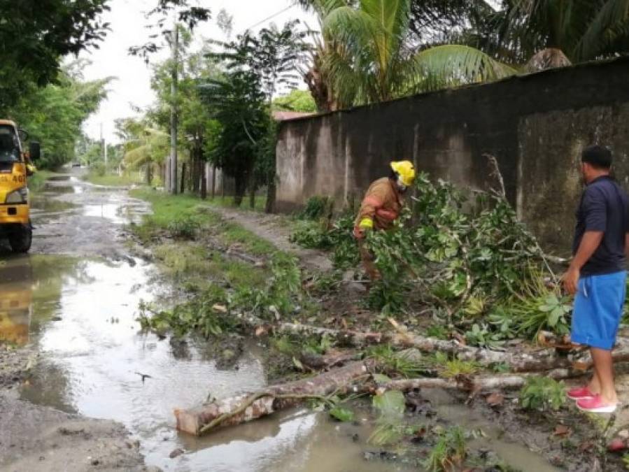 Fuertes lluvias dejan aludes, inundaciones y caídas de árboles en distintos sectores del país