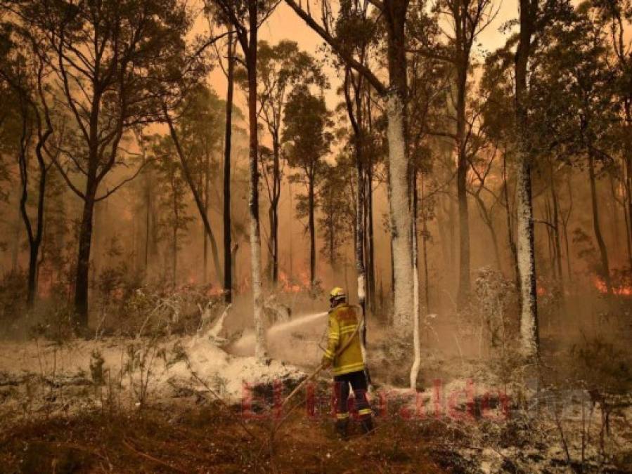 FOTOS: Personas bloqueadas en playas de Australia por incendios; van ocho muertos  