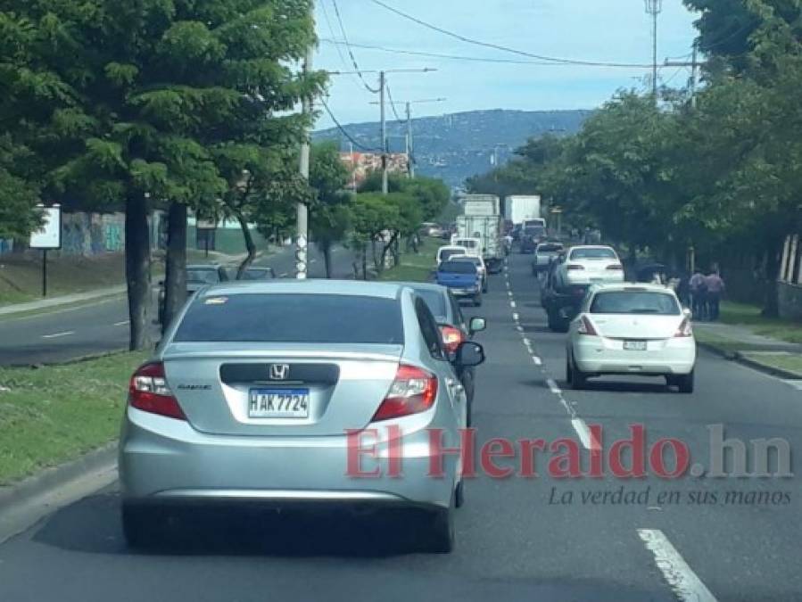 FOTOS: La masiva movilización de médicos y maestros en la capital de Honduras