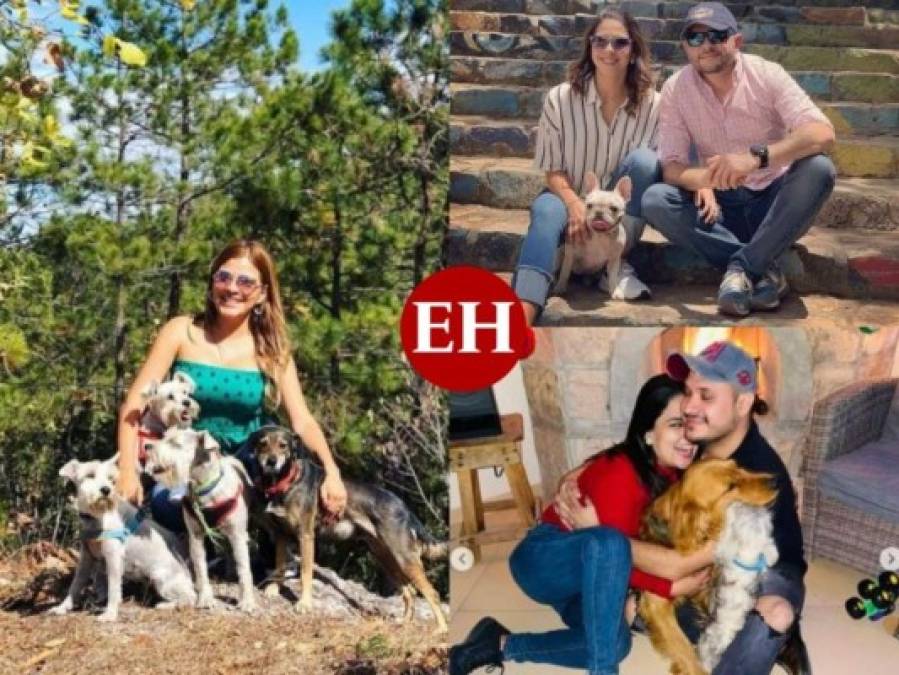 Las mascotas de los famosos hondureños: gatos y perros mimados