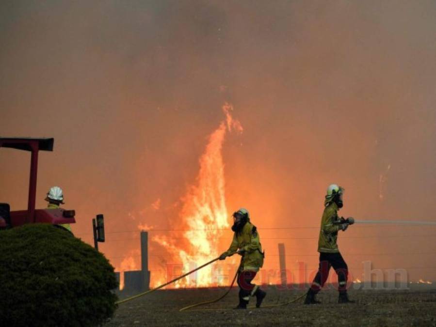 FOTOS: Personas bloqueadas en playas de Australia por incendios; van ocho muertos  