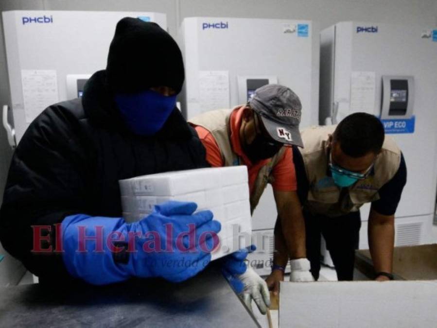 Honduras: Así fue la recepción de las 42,120 dosis de vacunas Pfizer (FOTOS)