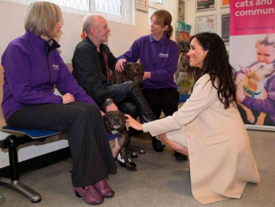 Meghan Markle se encariña de un perro en su visita a un refugio de animales