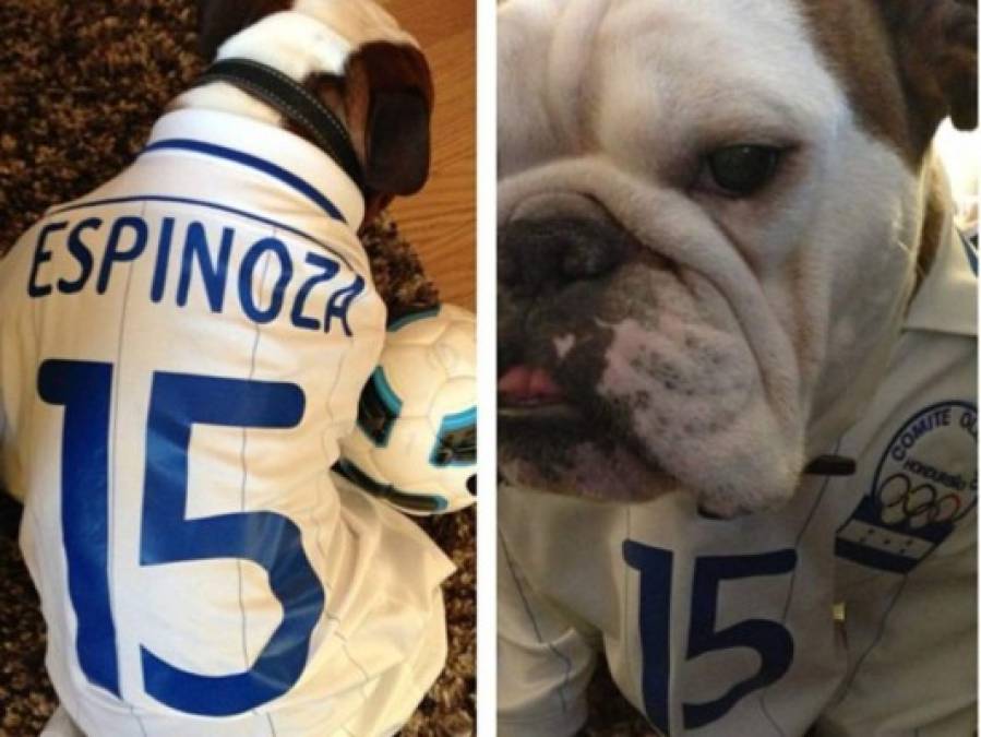 FOTOS: Así es Chulo, el perro consentido del futbolista hondureño Roger Espinoza