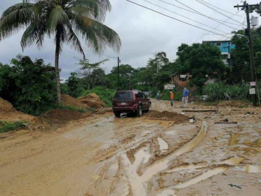 Fuertes lluvias dejan aludes, inundaciones y caídas de árboles en distintos sectores del país