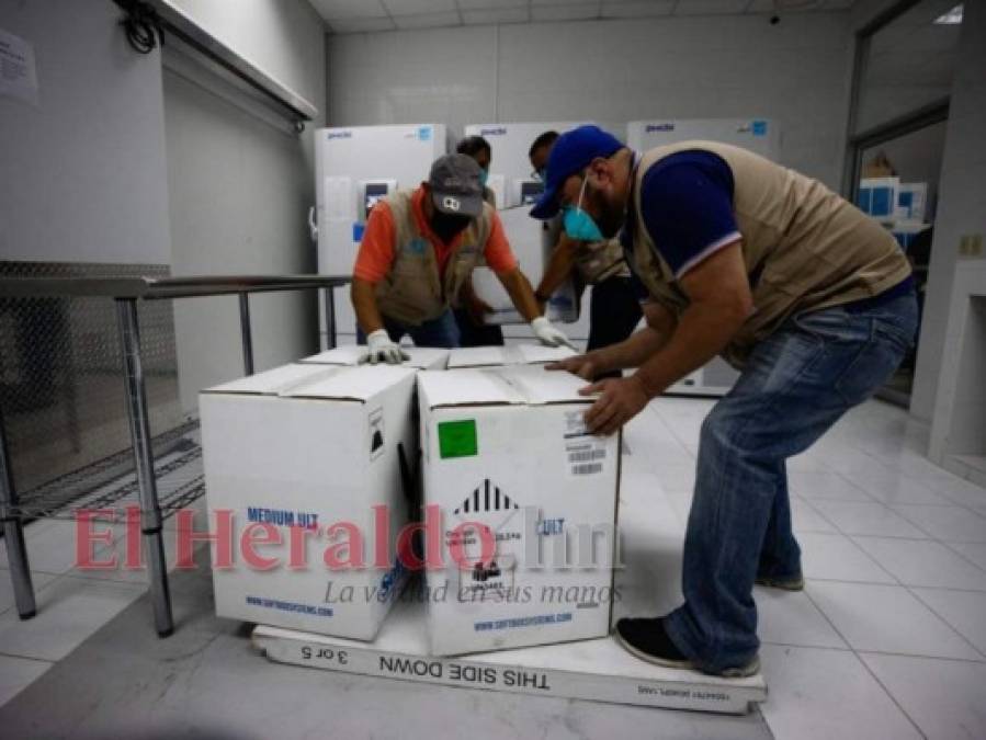 Honduras: Así fue la recepción de las 42,120 dosis de vacunas Pfizer (FOTOS)