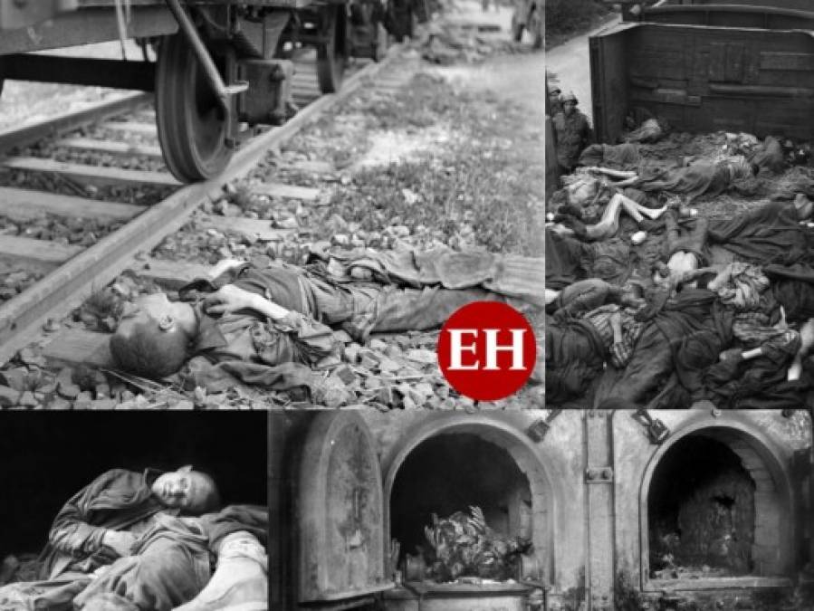 Rostros esqueléticos y pilas de cadáveres, el horror de los campos de exterminio nazi