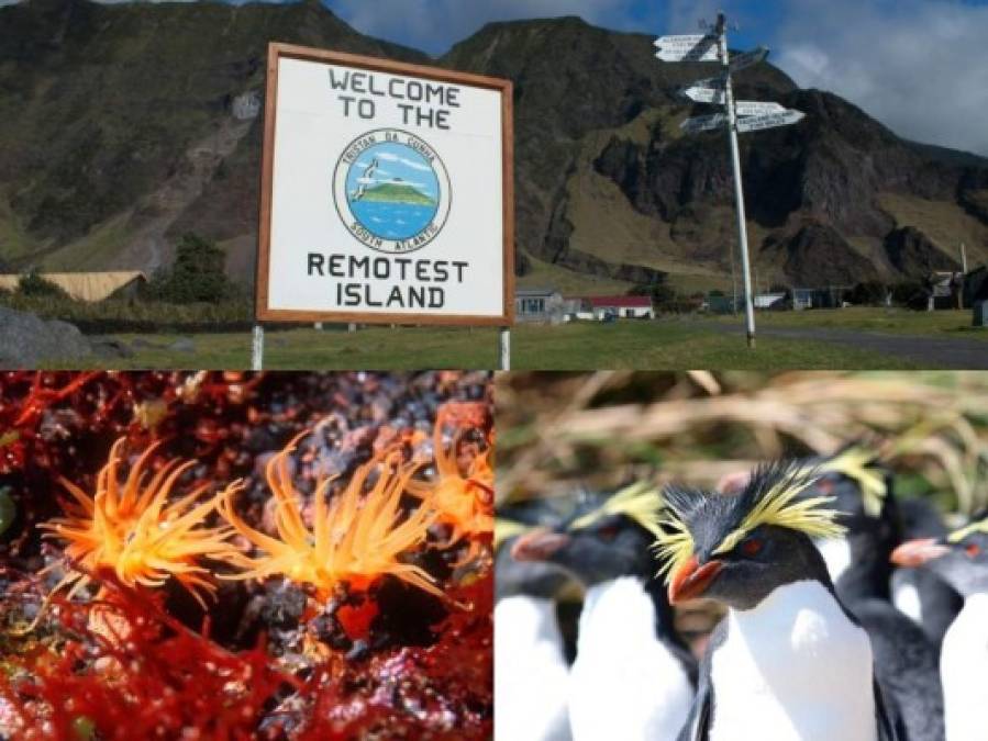 FOTOS: Conozca la 'isla más remota' de la Tierra, ahora santuario de vida marina