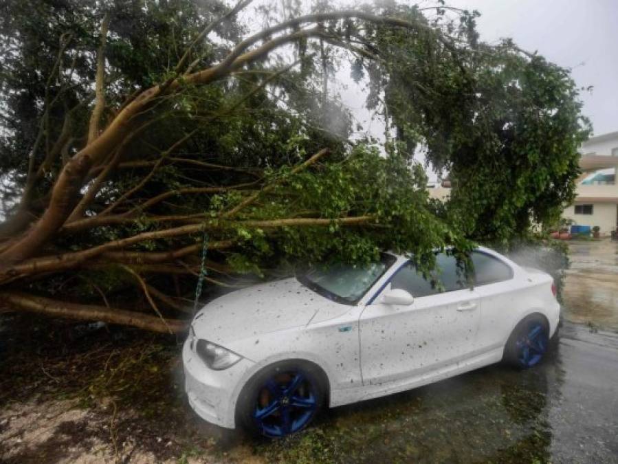 Árboles caídos, negocios destruidos y calles sin acceso: el impacto del huracán Delta