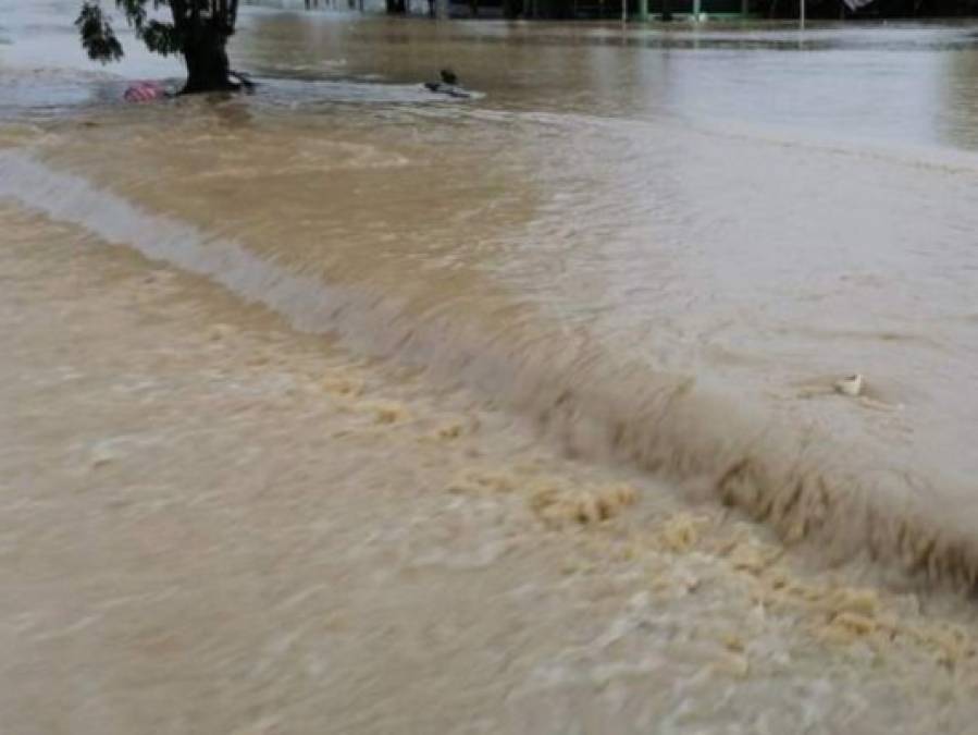 Tormenta Tropical Iota inunda nuevamente el Valle de Sula (Fotos)