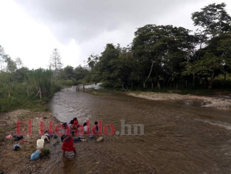 Destruyen el pulmón más grande de Honduras y construyen carretera clandestina (FOTOS)  