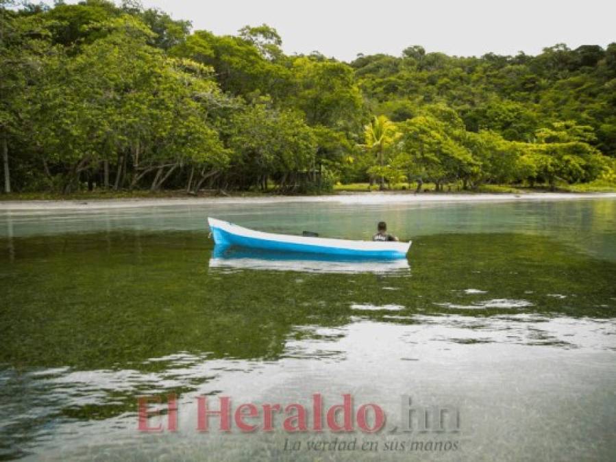Cayos Cochinos, el tesoro marino de la costa atlántica de Honduras