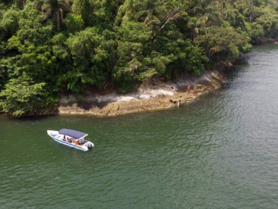 La horripilante escena en Isla de Gatos, Brasil, tras hambruna por la pandemia  