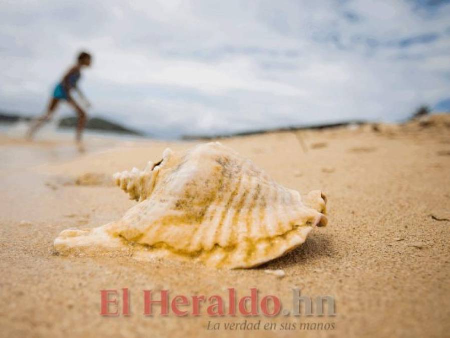 Cayos Cochinos, el tesoro marino de la costa atlántica de Honduras