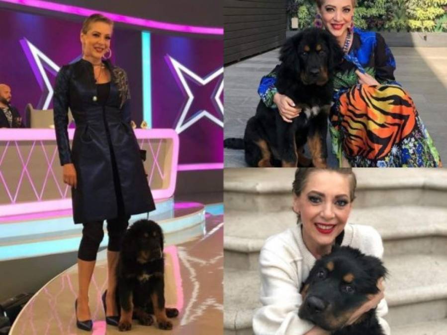 FOTOS: Cedric, el perro que acompañó a Edith González en sus últimos meses de vida