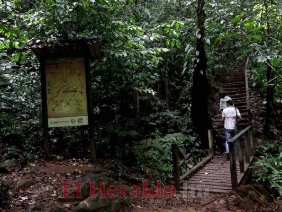 Un recorrido por los domos de Agualpa y los senderos de Panacam en el Lago de Yojoa (FOTOS)