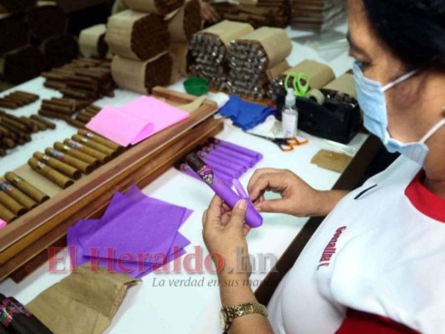 ¿Cómo se elabora el tabaco hondureño, reconocido entre los mejores a nivel mundial?