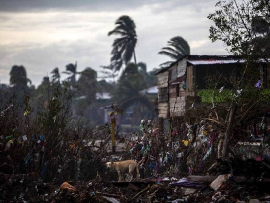 Centroamérica clama ayuda para reconstrucción ante devastaciones por huracanes (FOTOS)