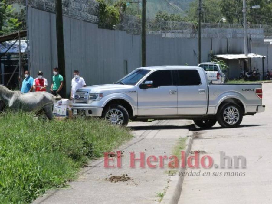 Sonriente y en compañía de Pepe Lobo: Así fue la salida de Rosa Elena de prisión