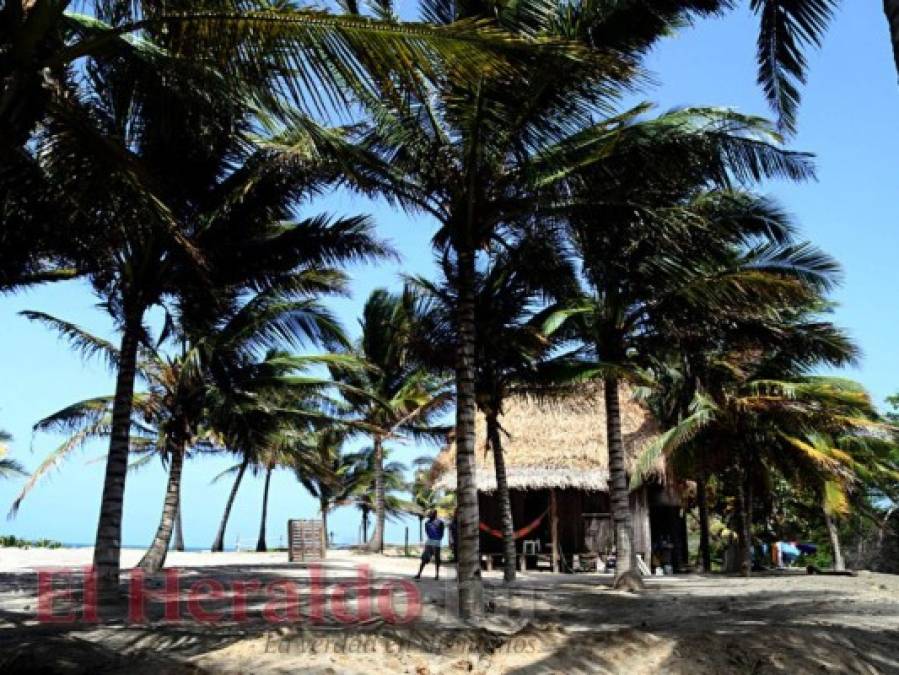 Los paisajes que te invitan a viajar esta Semana Santa a la costa norte de Honduras