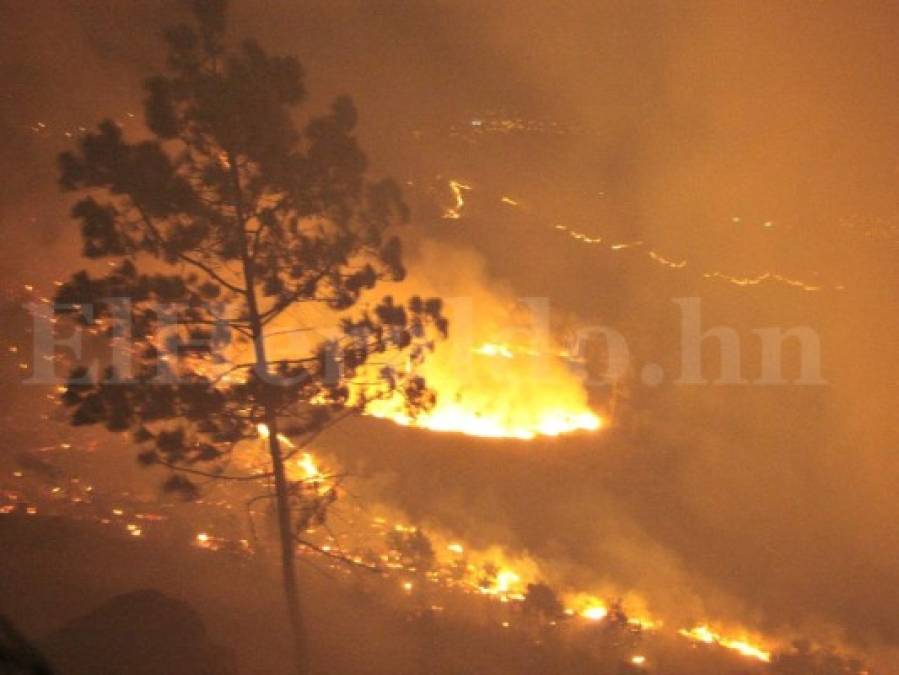 Impactantes imágenes del incendio forestal en El Picacho en Tegucigalpa