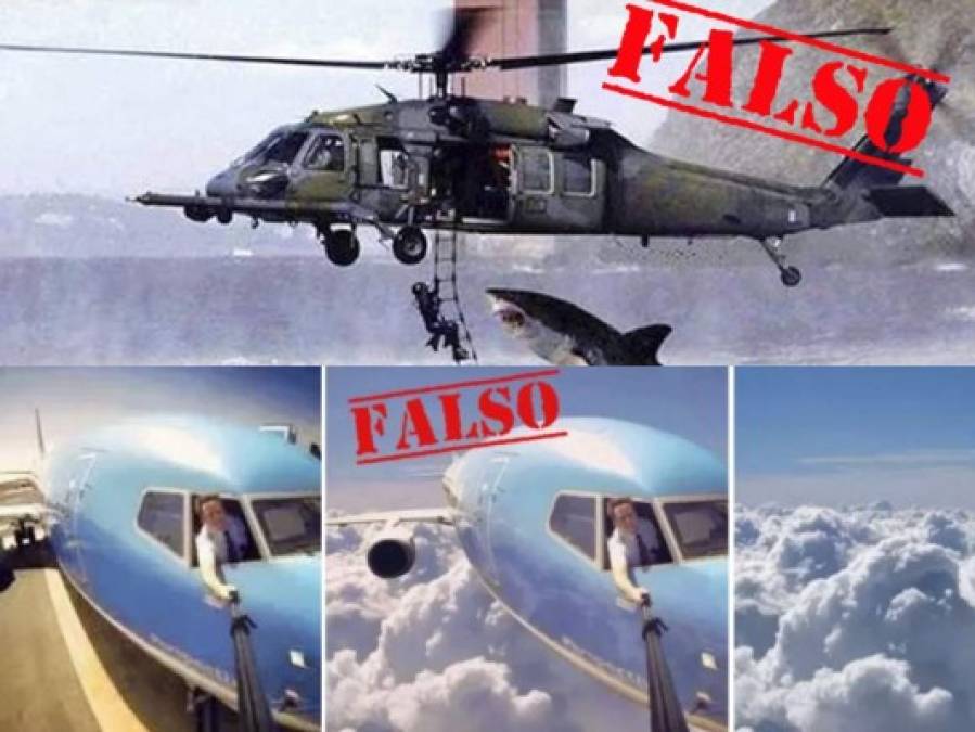 15 imágenes falsas que circularon en Internet y se volvieron virales