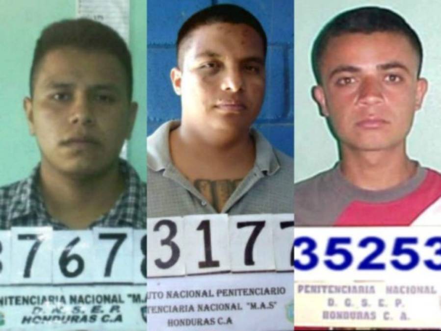 Casos de pandilleros presos que salieron en libertad y pusieron en vergüenza a la justicia de Honduras