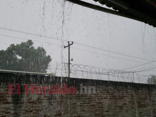 FOTOS: Tormenta azotó las calles de la capital de Honduras