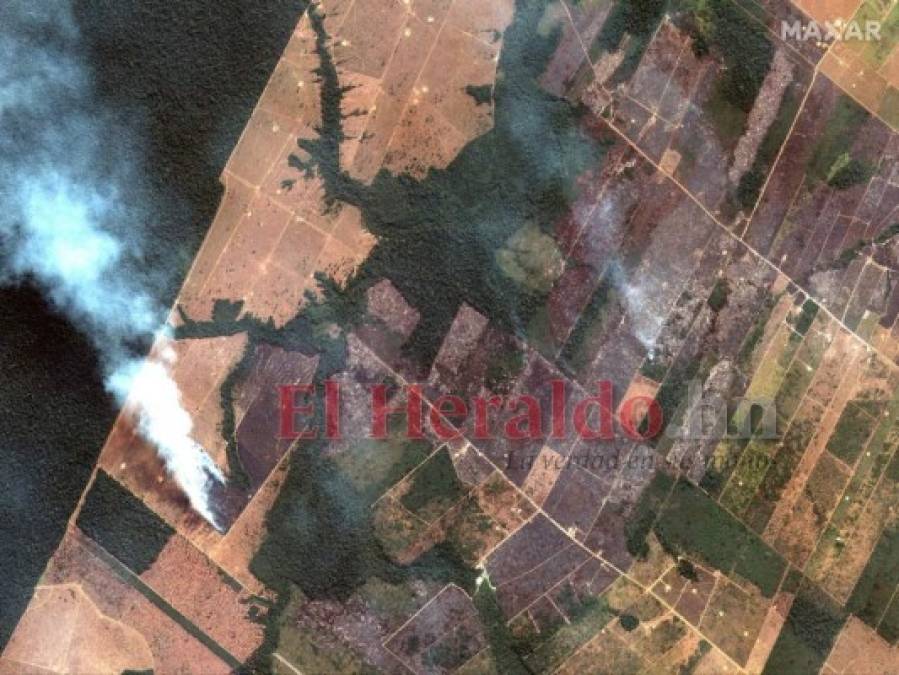 FOTOS: Ocho datos que debes saber sobre los incendios en la Amazonia