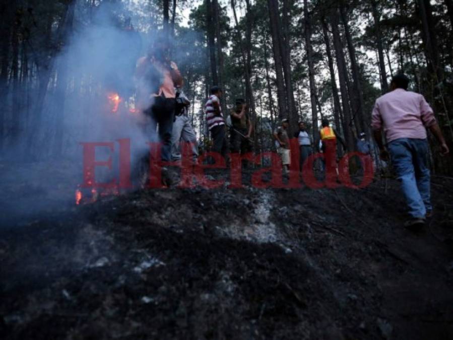 Las desgarradoras imágenes del incendio en La Montañita en el que murieron dos bomberos