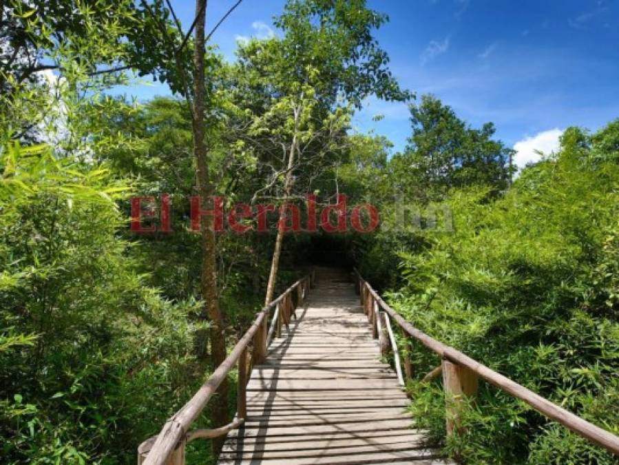 Familias enteras disfrutan la belleza natural de El Picacho (FOTOS)