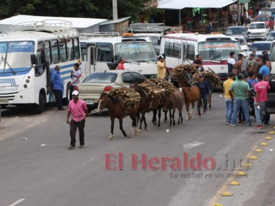 Así fue el caos que causó el paro de transporte en la capital de Honduras