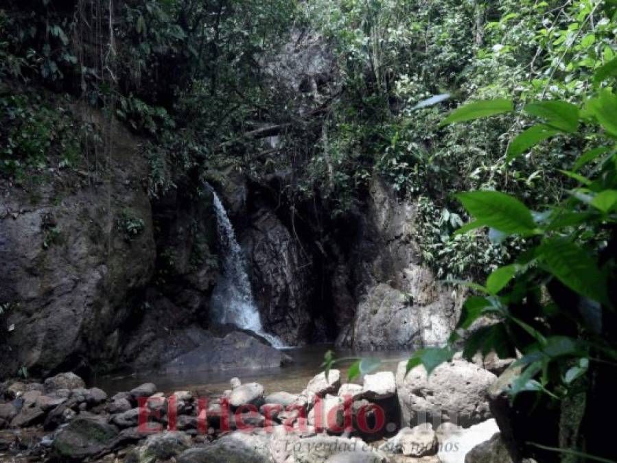 Un recorrido por los domos de Agualpa y los senderos de Panacam en el Lago de Yojoa (FOTOS)