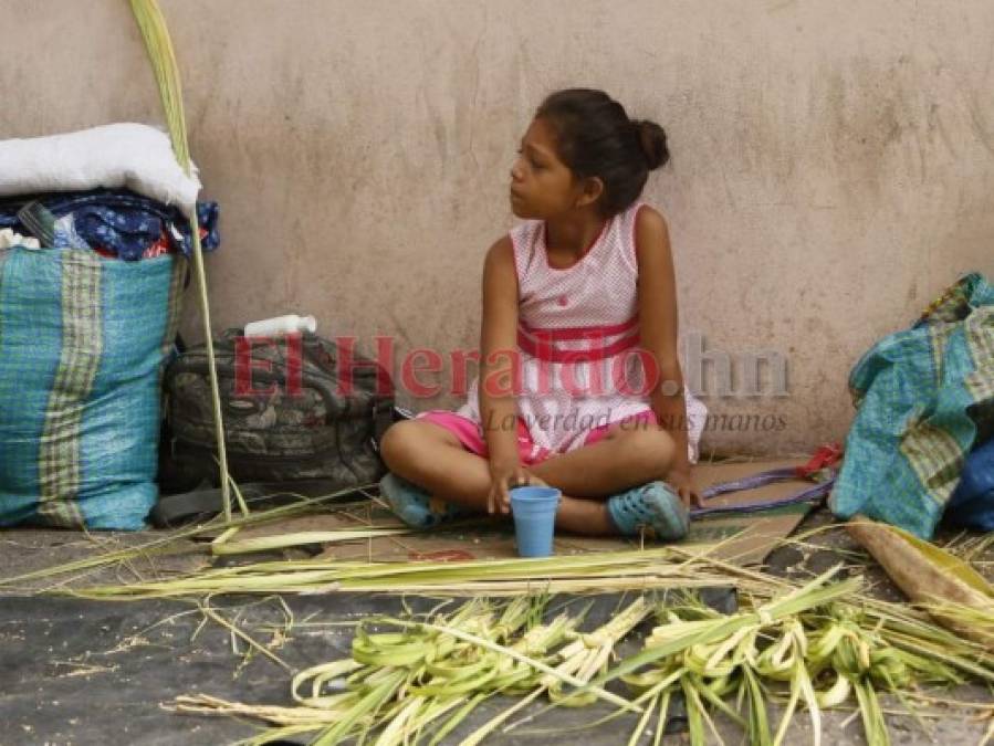 Foto: Los niños de las palmas, protagonistas más jóvenes del Domingo de Ramos